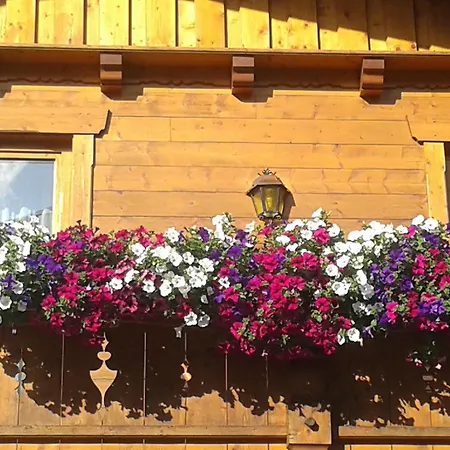 Daire Lechner Buchau